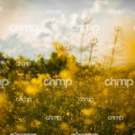 blog-awaken-07