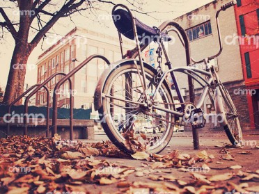 blog-grid