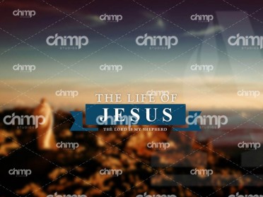 blog-grid